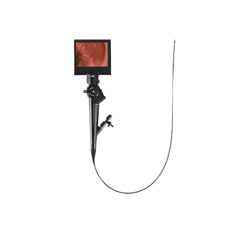 Veterinary Videoscope